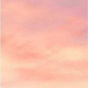 Meet your Posher, Zoey